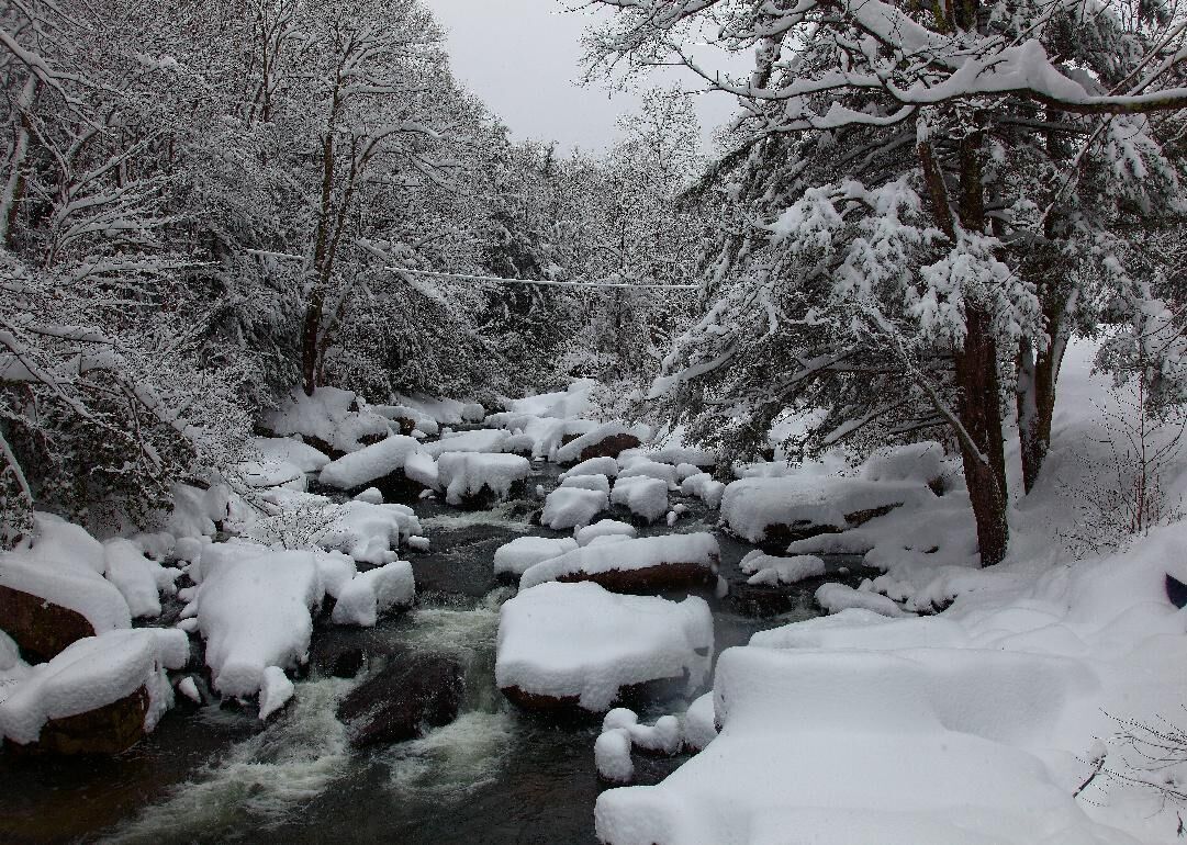 West Virginia